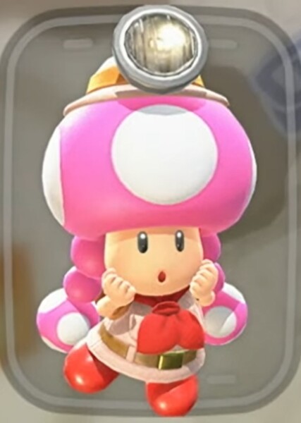 Toadette photo