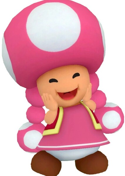 Toadette photo