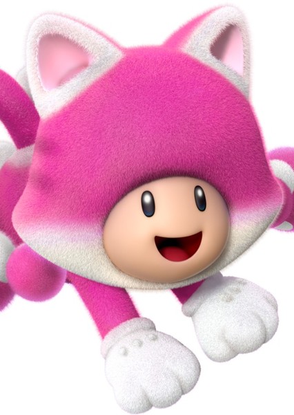 Toadette photo
