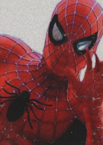 Tobey Maguire photo