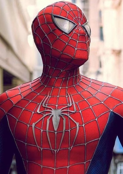 Friendly Neighborhood Spider-Man