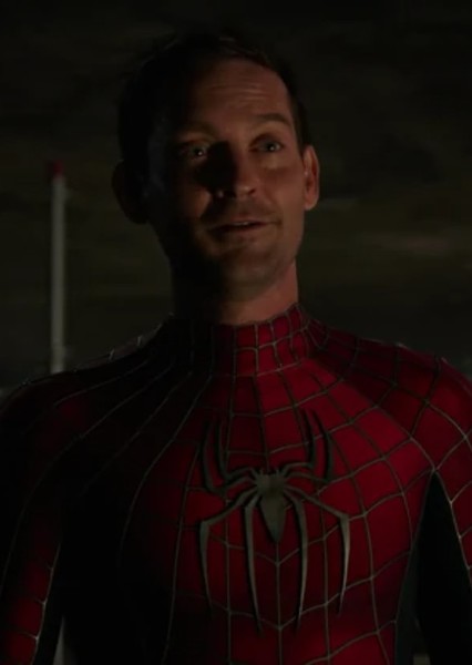 Friendly Neighborhood Spider-Man