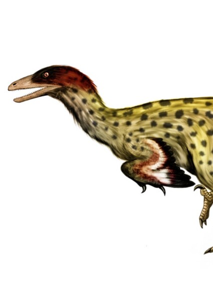 Tochisaurus