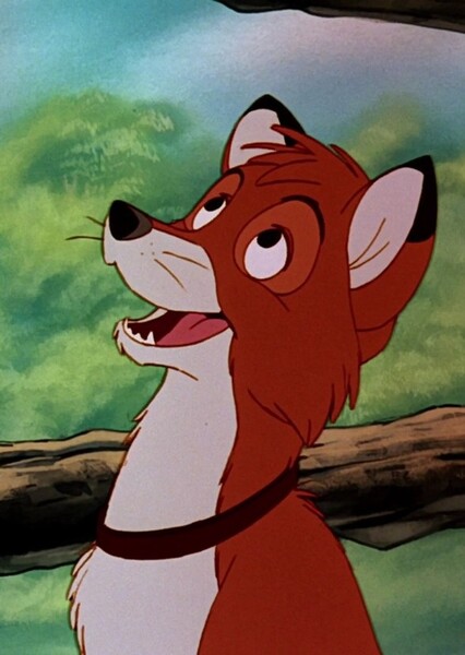 Tod (The Fox and The Hound) photo