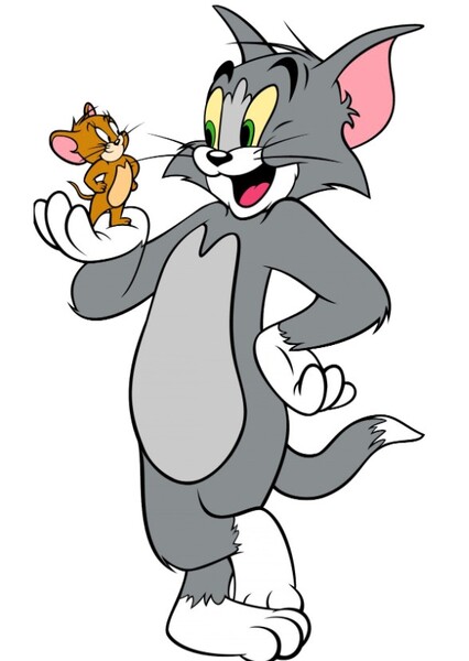 Tom Cat and Jerry Mouse photo