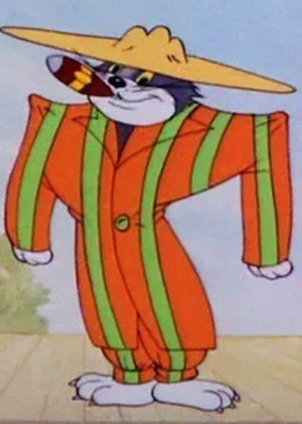 Tom Cat photo