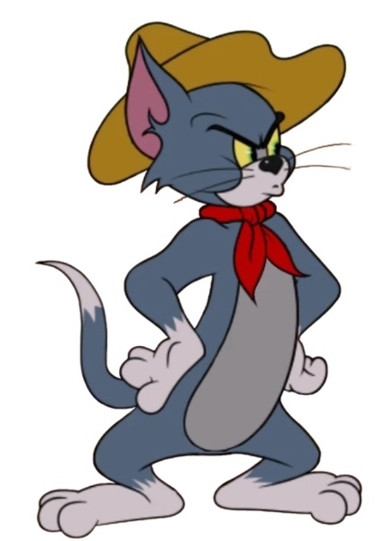 Tom Cat photo