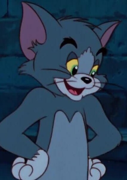 Tom Cat photo