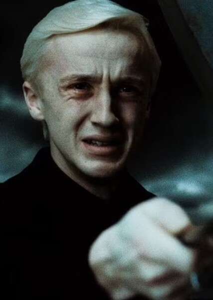 Tom Felton photo