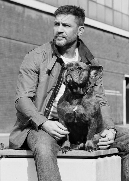 Tom Hardy photo