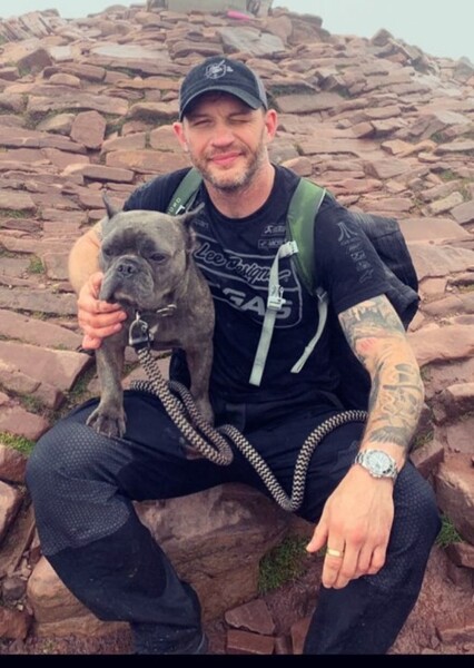 Tom Hardy photo