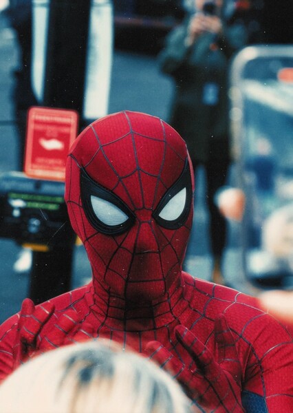 Tom Holland photo