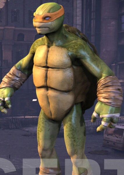 The teenage mutant ninja turtles