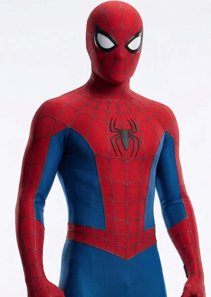 Tom Holland photo