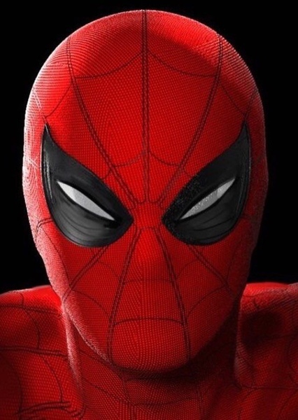 Tom Holland photo