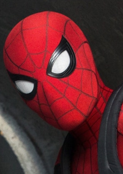 Tom Holland photo