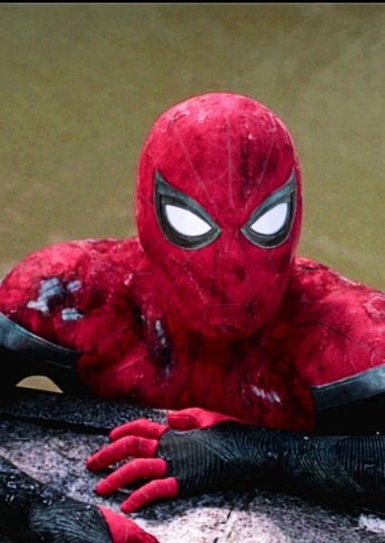 Tom Holland photo
