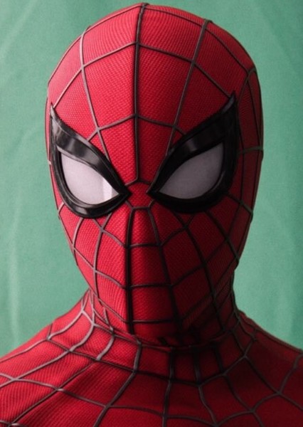 Tom Holland photo