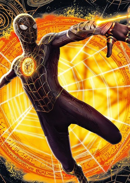 Tom Holland photo