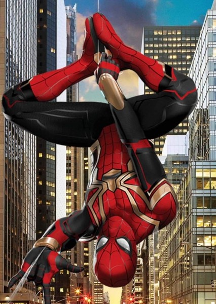 Tom Holland photo