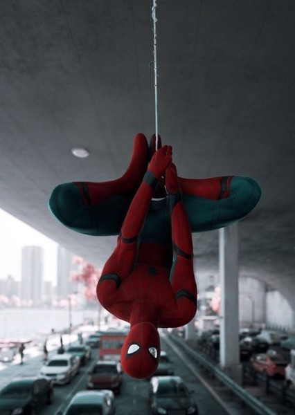 Tom Holland photo