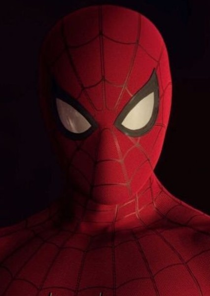 Tom Holland photo