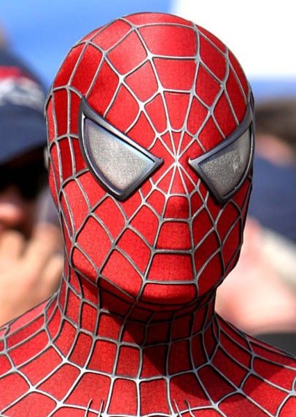 Tom Holland photo