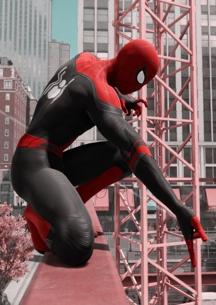 Tom Holland photo