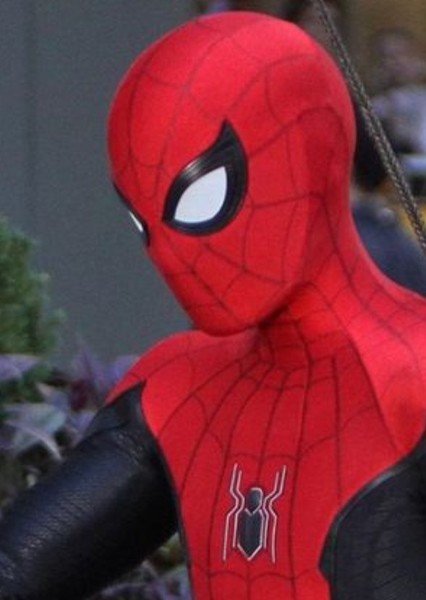 Tom Holland photo