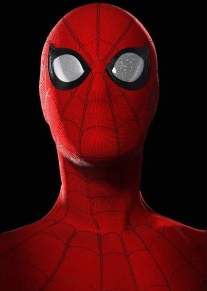 Tom Holland photo
