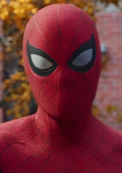 Tom Holland photo