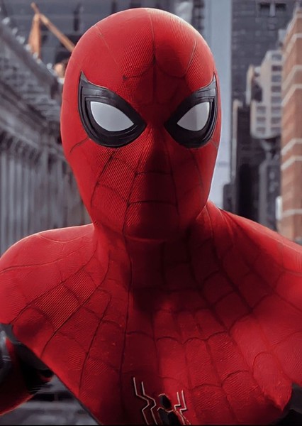 Tom Holland photo