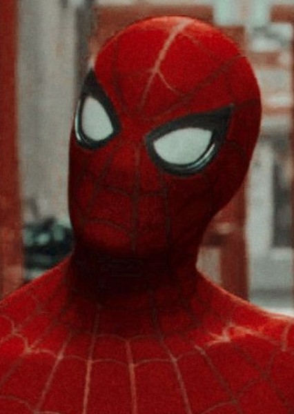 Tom Holland photo