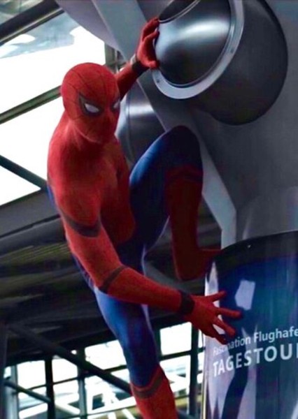 Tom Holland photo
