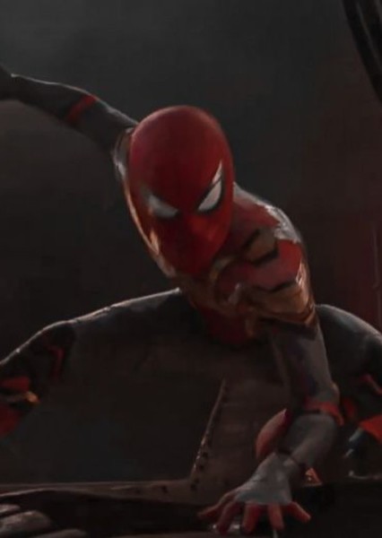 Tom Holland photo