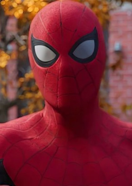 Tom Holland photo