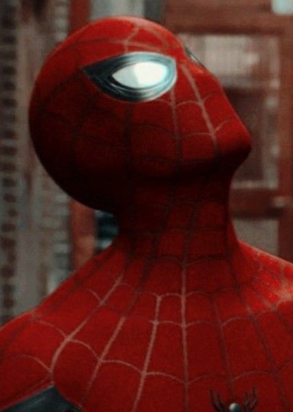 Tom Holland photo