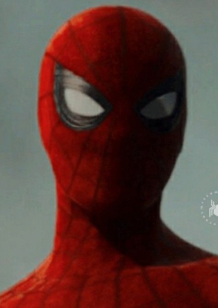 Tom Holland photo