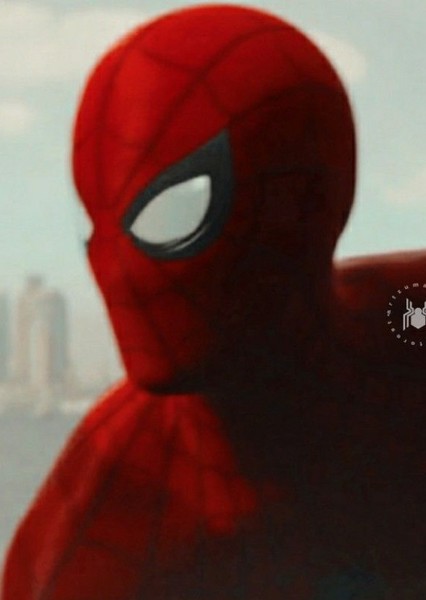 Tom Holland photo