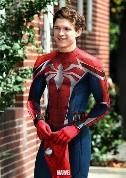 Tom Holland photo