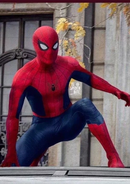 Tom Holland photo