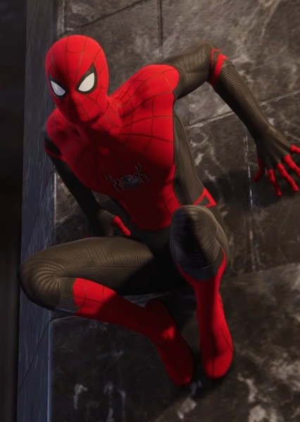 Tom Holland photo