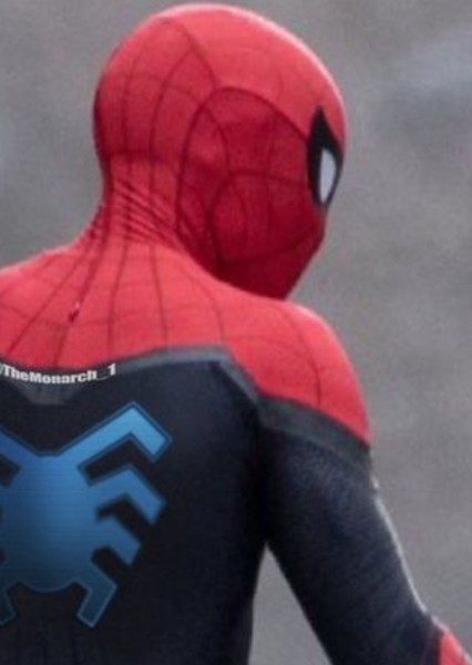 Tom Holland photo