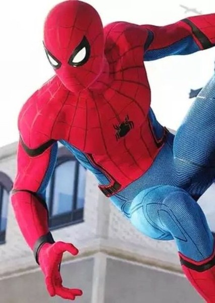 Tom Holland photo