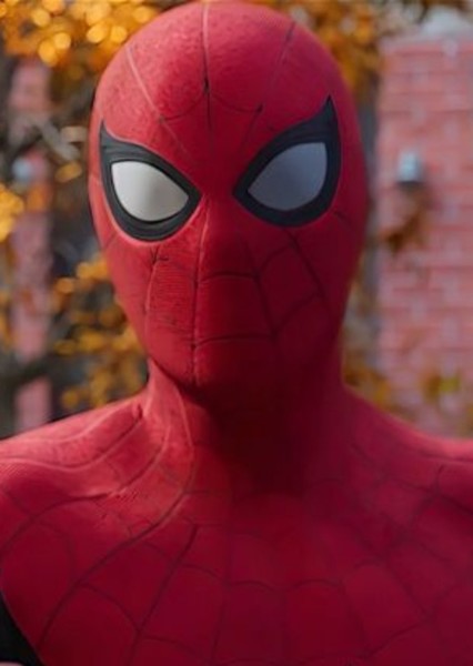 Tom Holland photo