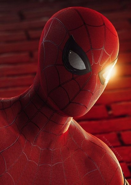 Tom Holland photo
