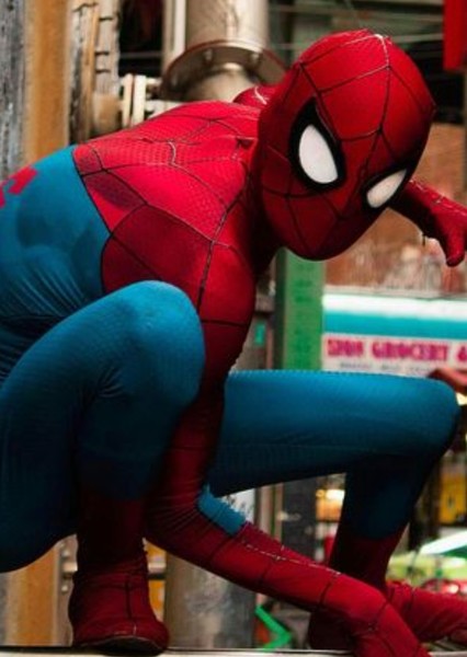 Tom Holland photo