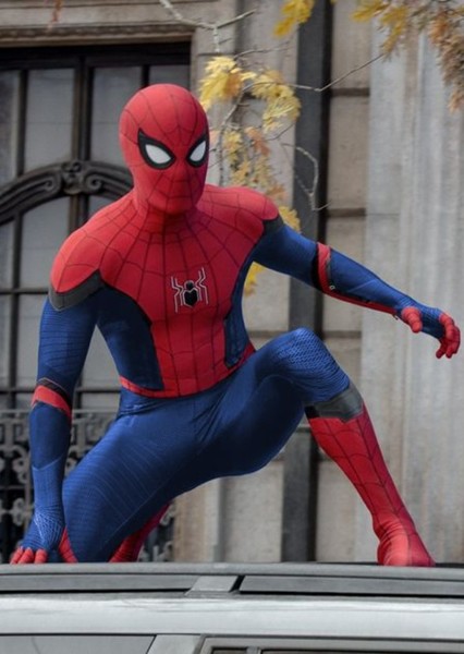 Tom Holland photo