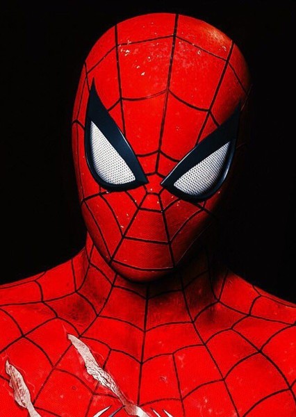 Tom Holland photo
