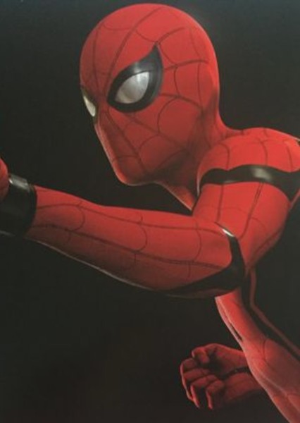 Tom Holland photo